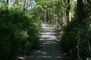 puget park trail